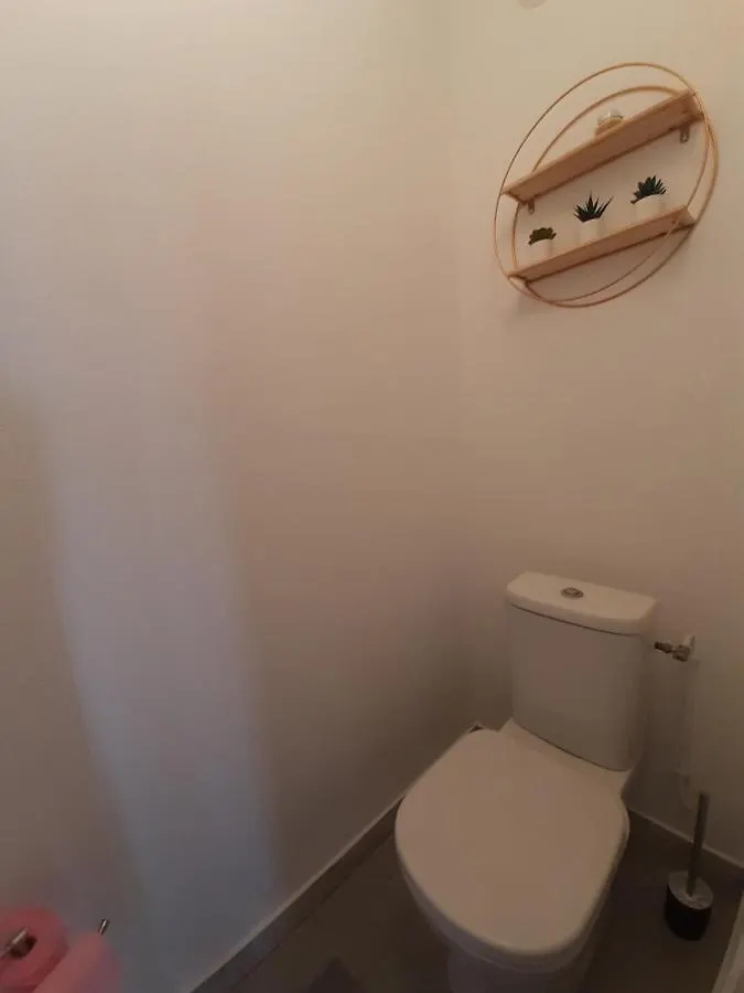 Apartament Le Republique Cannes 0*,